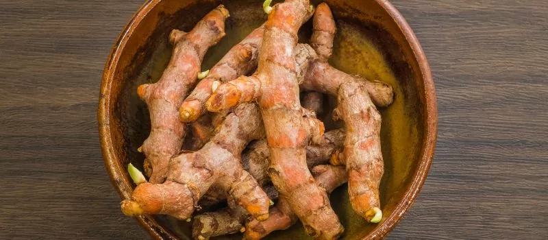 a bowl of turmeric