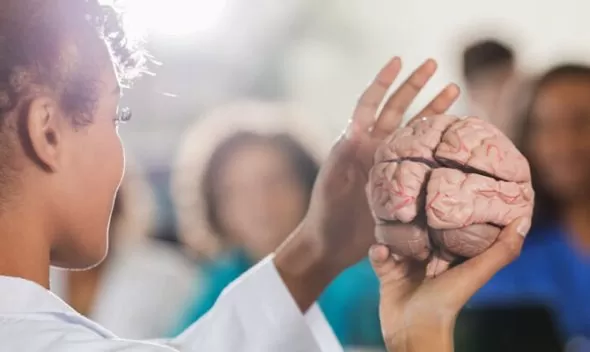 A woman in a lab coat presents a brain, symbolizing research on the mental health benefits of Ginkgo Biloba.