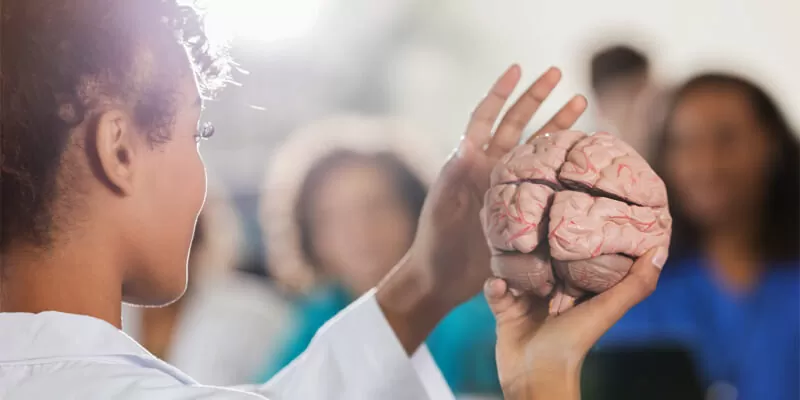 A woman in a lab coat presents a brain, symbolizing research on the mental health benefits of Ginkgo Biloba.